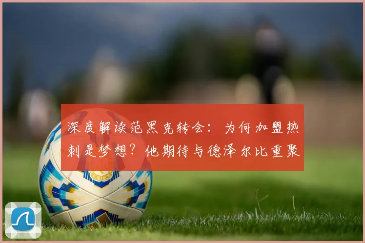 深度解读范黑克转会：为何加盟热刺是梦想？他期待与德泽尔比重聚的深层原因与战术前景分析